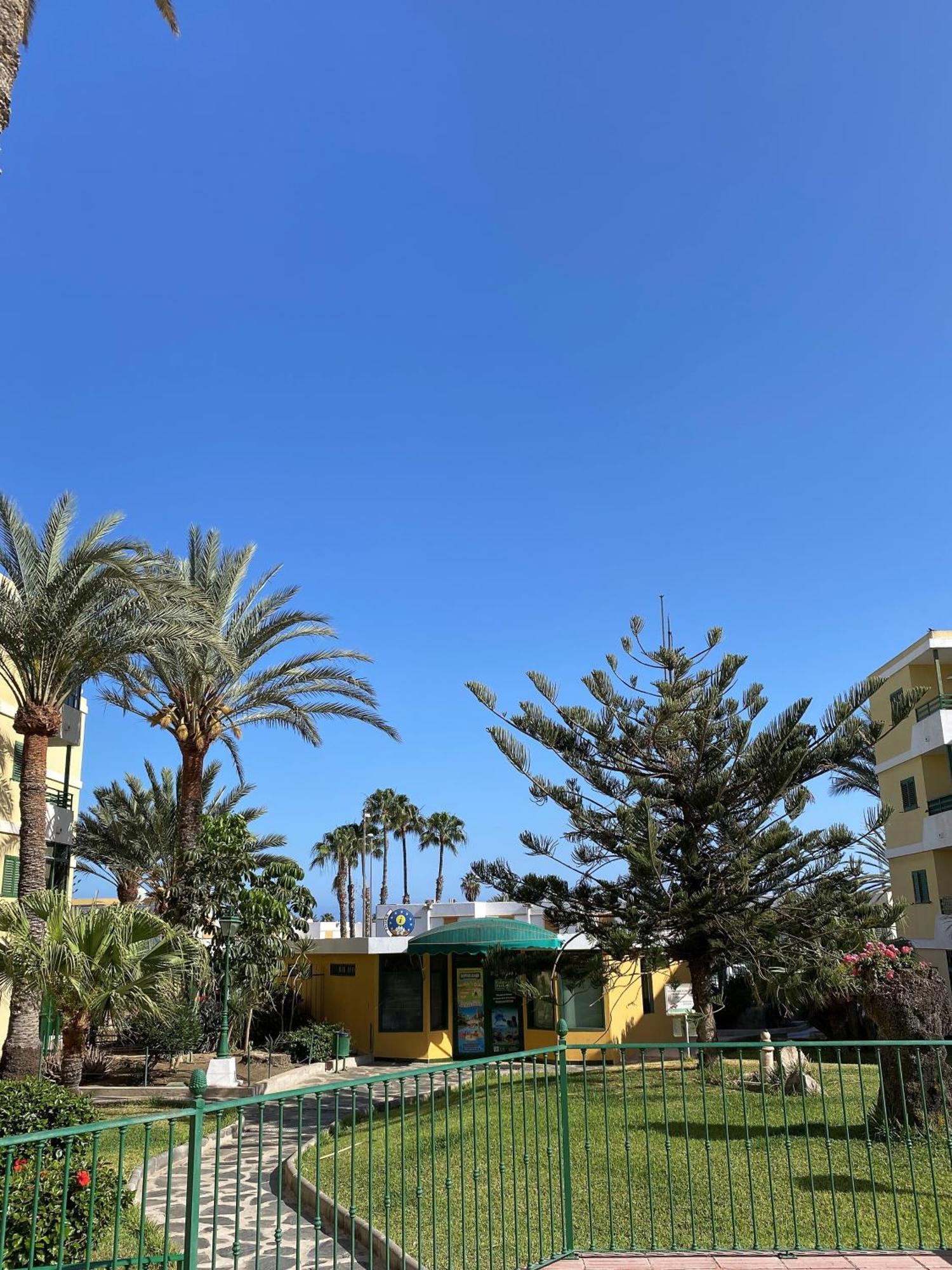 Olas Sun Apartment *